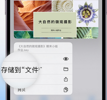 东莞apple维修中心分享iPhone文件应用中存储和找到下载文件