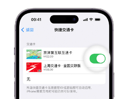 东莞apple维修点分享iPhone上更换Apple Pay快捷交通卡手绘卡面 