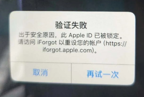 东莞iPhone维修分享iPhone上正常登录或使用AppleID怎么办 