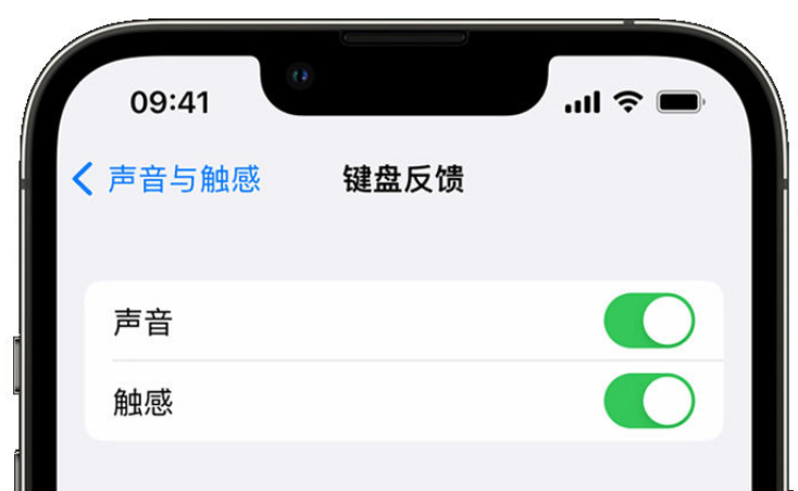 东莞苹果手机维修分享iPhone 14触感键盘使用方法 