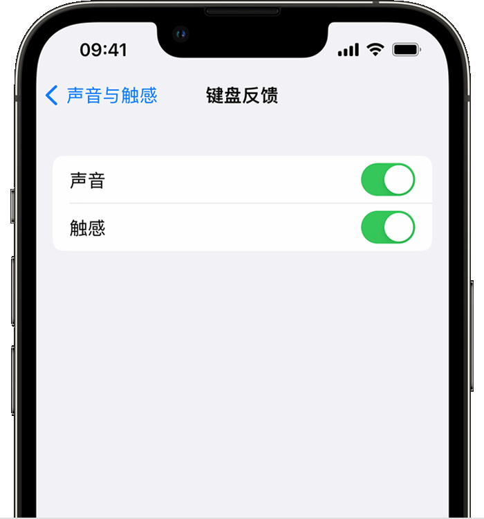 东莞苹果14维修店分享如何在 iPhone 14 机型中使用触感键盘 