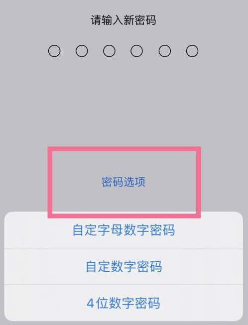 东莞苹果14维修分享iPhone 14plus设置密码的方法 