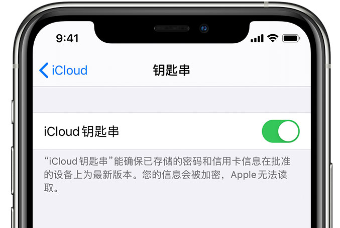 东莞苹果手机维修分享在 iPhone 上开启 iCloud 钥匙串之后会储存哪些信息 