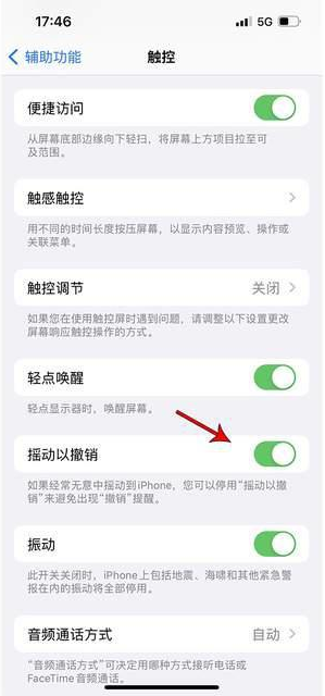 东莞苹果手机维修分享iPhone手机如何设置摇一摇删除文字 