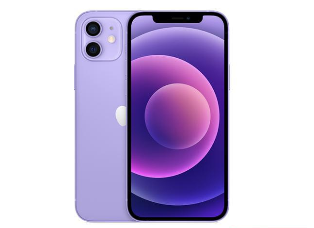 东莞苹果手机维修分享现阶段要不要入手紫色版iPhone12 