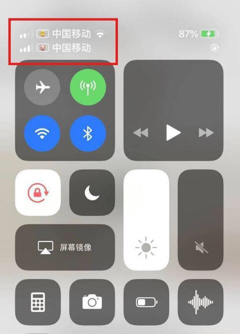 东莞苹果手机维修分享为 iPhone 12 双卡设置标签 