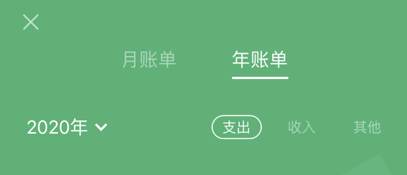 东莞苹果手机维修分享如何在 iPhone 上查看支付宝和微信年支出账单 